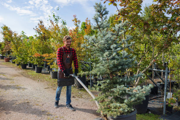  Fennimore, WI Tree Services Pros